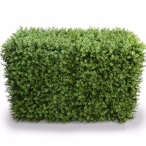 Deluxe Portable Buxus Hedges UV Stabilised 100cm Long X 55cm High