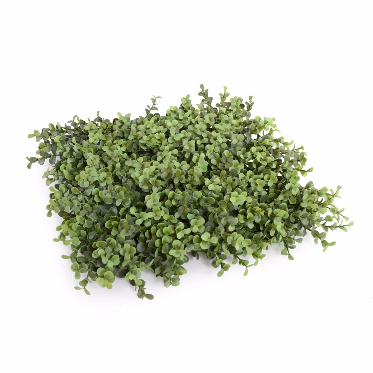 1012744_c_3.jpg