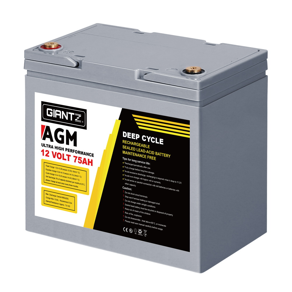 BATTERY-C-AGM-75-202502282032-02.jpg