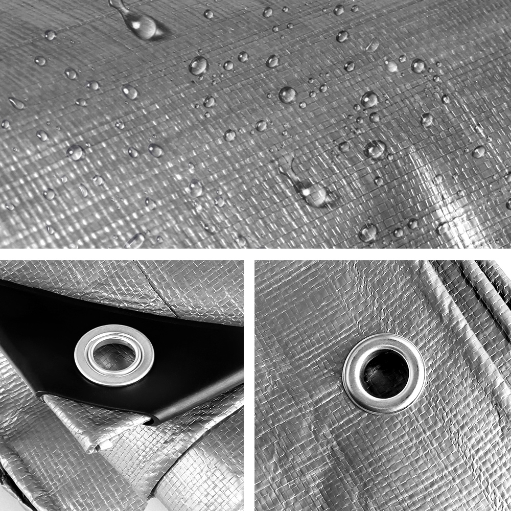 TARP-BKSI-9X12-02.jpg
