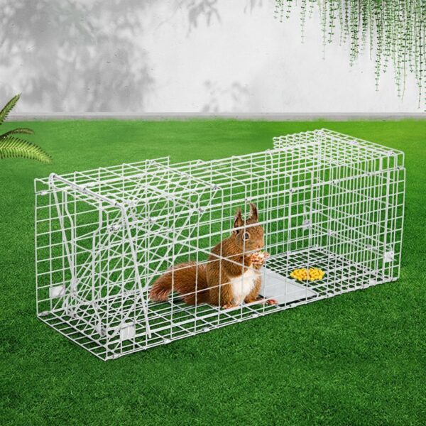 TRAP-CAGE-6623-07.jpg