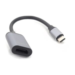 USB-C HDMI Adapter 4K Video Output - Pick Me Home