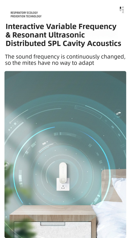 V888-ELOSUNG42552-202512241550-02.png